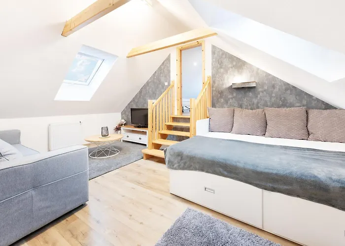 게스트하우스 Andrea S Wellness